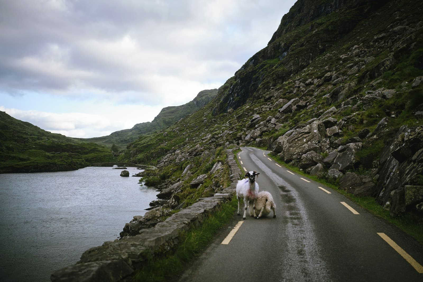 Mountain-to-sea transition on the Ring of Kerry