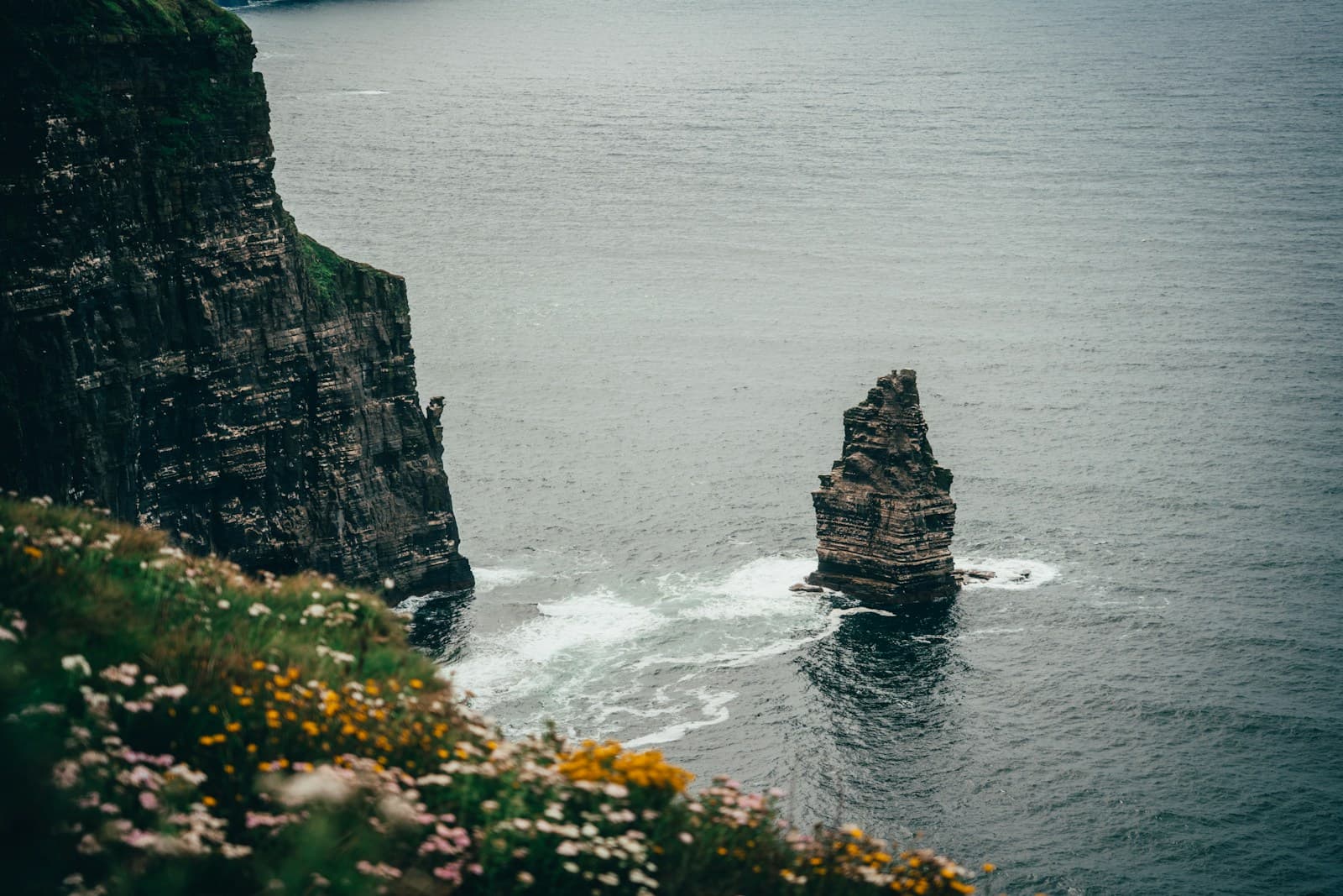 Evening return through scenic Wicklow mountain roads